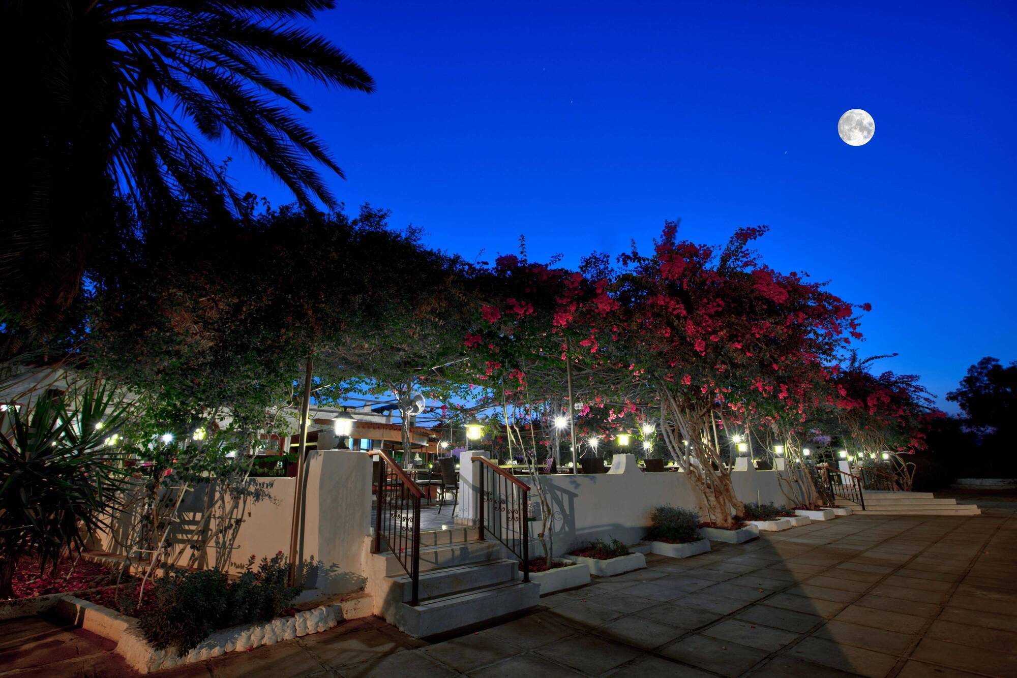 Merit Cyprus Gardens Holiday Famagusta  Exterior photo